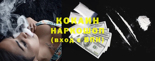 индика Лихославль