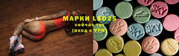 индика Лихославль