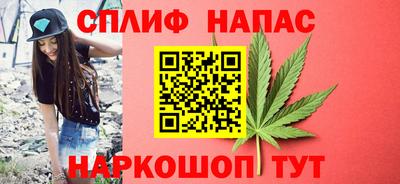 сатива Беслан