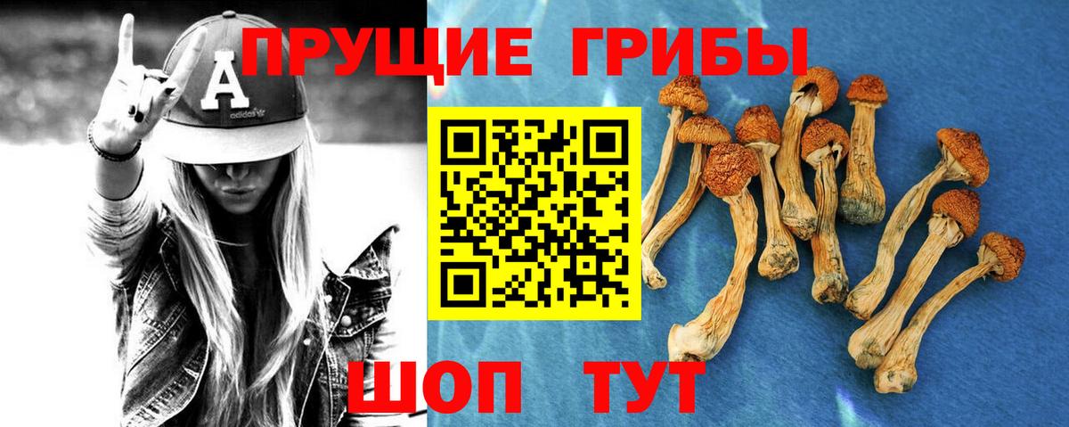 Галлюциногенные грибы Psilocybine cubensis  Галлюциногенные грибы MAGIC MUSHROOMS  Жуковский 