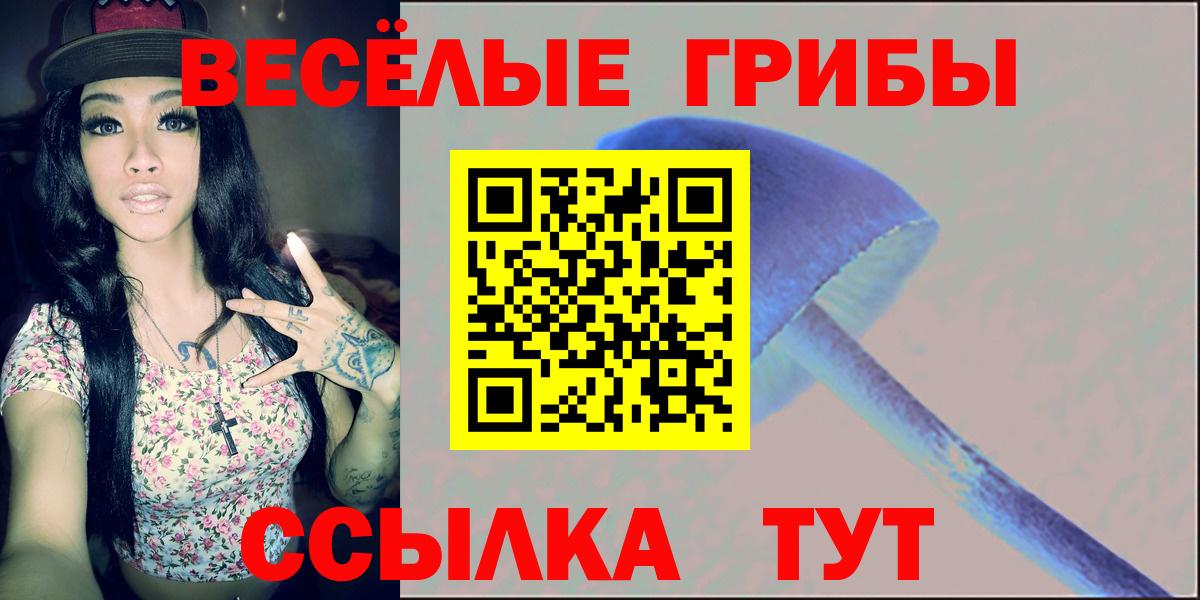 закладки  Псилоцибиновые грибы Cubensis  Жуковский  Вход с VPN  Псилоцибиновые грибы мухоморы 