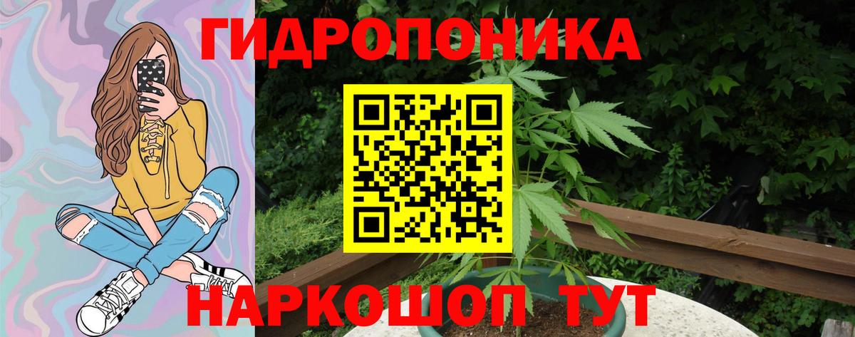 Бошки Шишки THC 21% Жуковский
